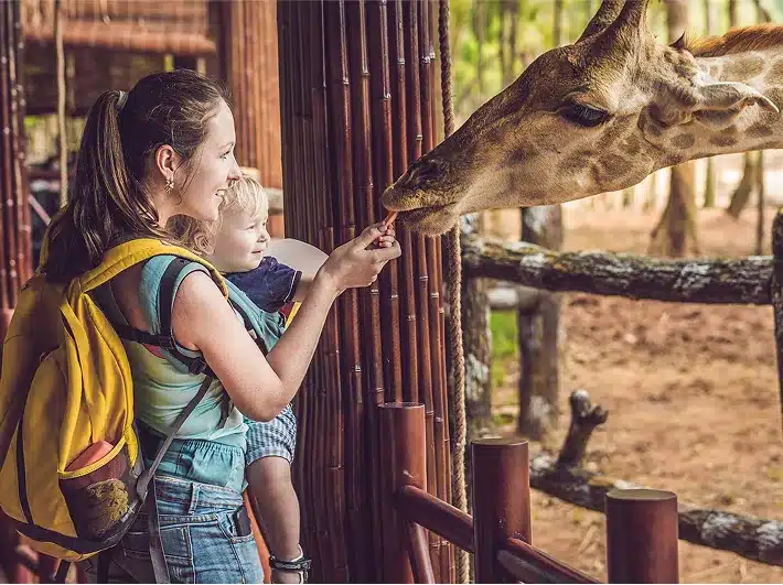 img-Holiday-At-The-Zoo